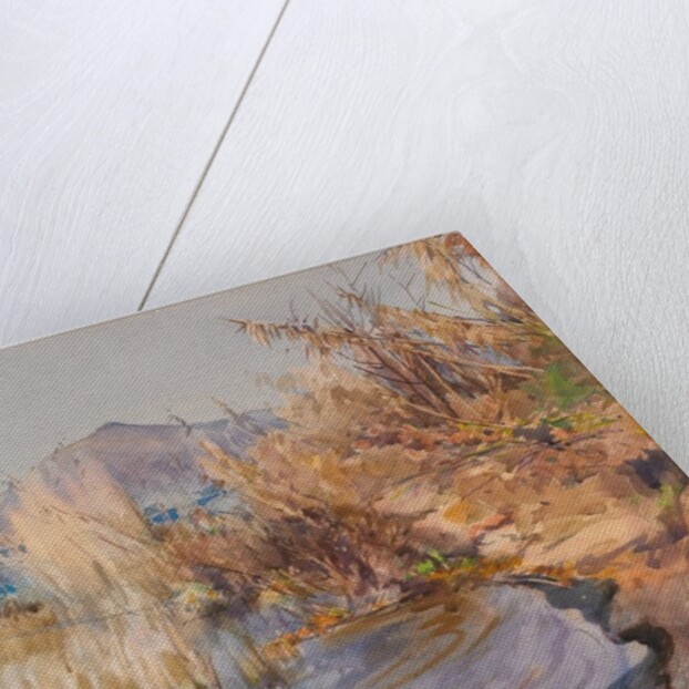 Lago di Bracciano by Onorato Carlandi