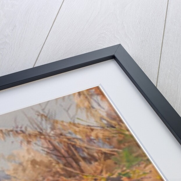 Lago di Bracciano by Onorato Carlandi