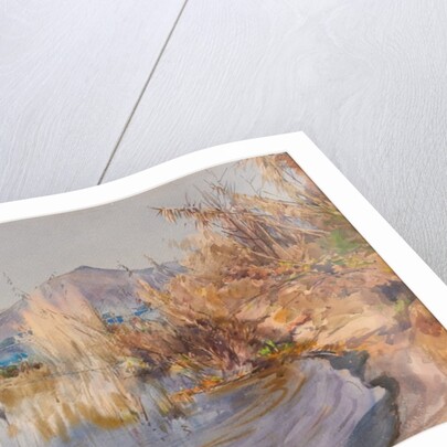 Lago di Bracciano by Onorato Carlandi