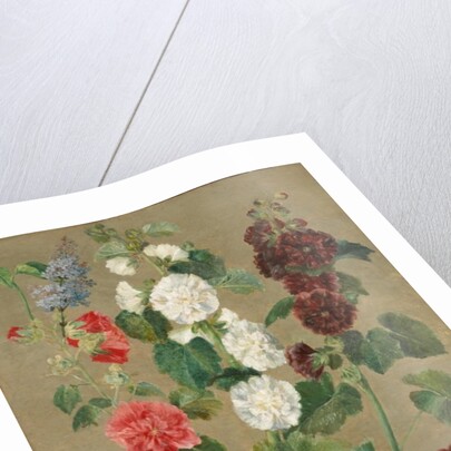 Untitled by Ferdinand Victor Eugene Delacroix