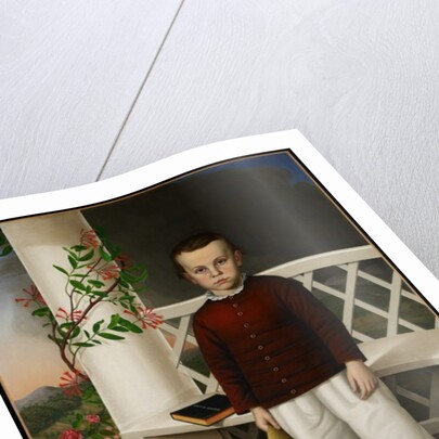 Portrait of a Boy, 1856 by James B. (attr. to) Read
