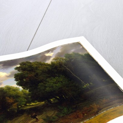 The Crossroads of the Eagle's Nest, Fontainebleau Forest, 1843-44 by Charles Francois Daubigny