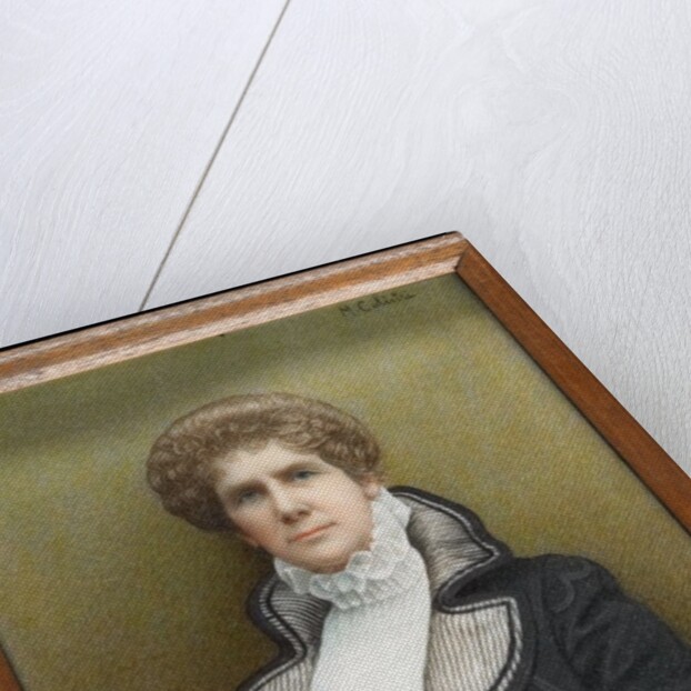 Portrait of Countess Phelps-Resse by Mario Calistri