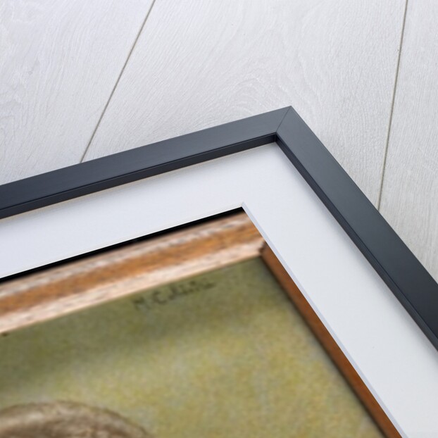 Portrait of Countess Phelps-Resse by Mario Calistri