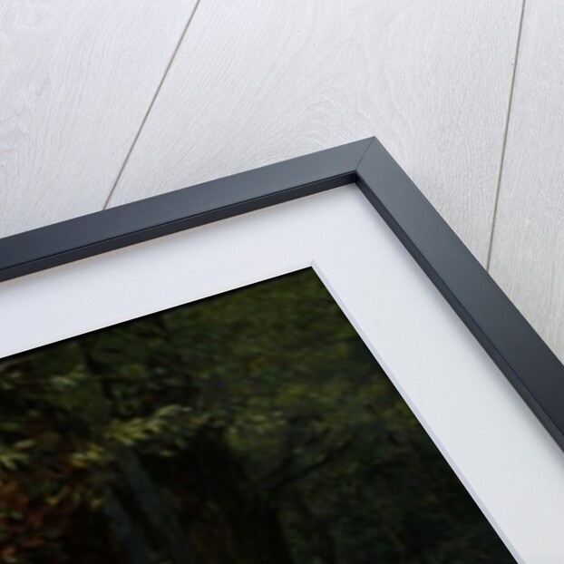 Deer in the Forest, 1868 by Gustave Courbet