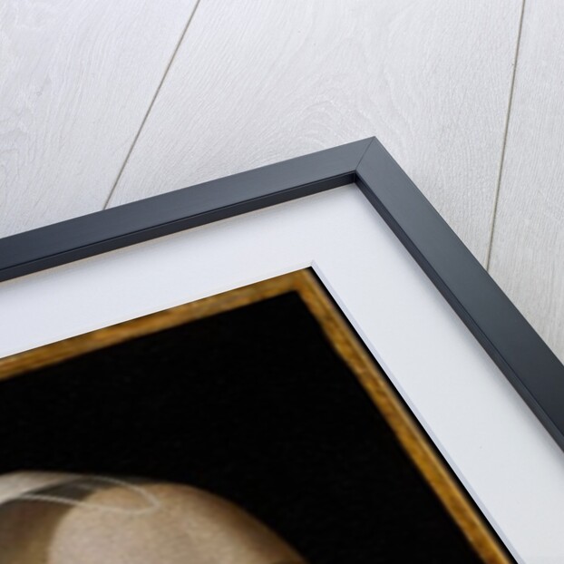 Portrait of a Lady by Benedetto Ghirlandaio