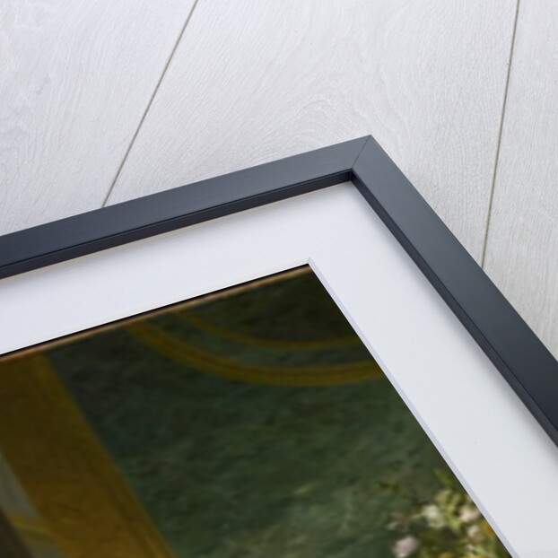 The Comtesse d'Egmont Pignatelli in Spanish Costume, 1763 by Alexander Roslin