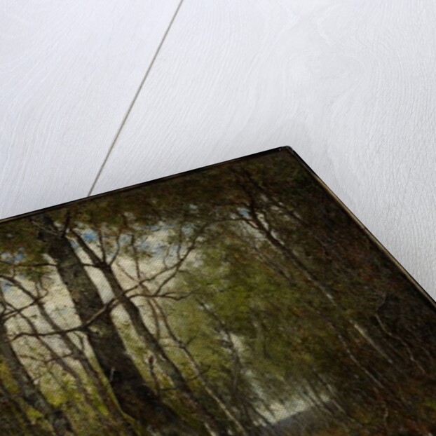 Temple Woods, 1882 by Max Weyl