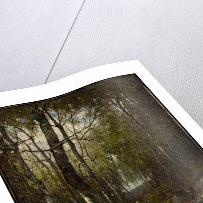 Temple Woods, 1882 by Max Weyl