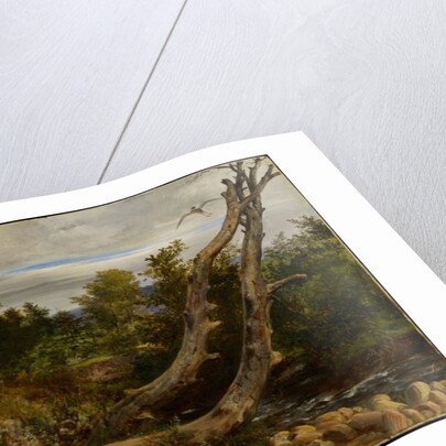 The Heron Disturbed, c.1850 by Richard Redgrave