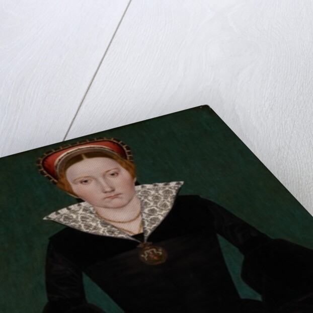 Portrait of a noblewoman, c.1550 by English School