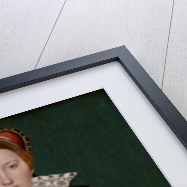 Portrait of a noblewoman, c.1550 by English School