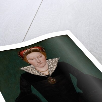 Portrait of a noblewoman, c.1550 by English School