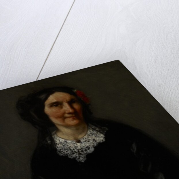 Portrait of Anika Psalmon, Mrs. Robin, 1862 by Gustave Courbet