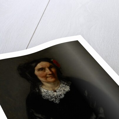 Portrait of Anika Psalmon, Mrs. Robin, 1862 by Gustave Courbet