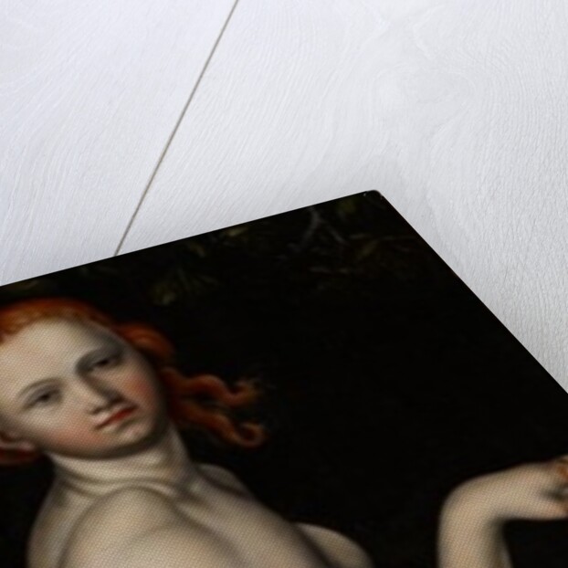 Venus and Cupid, c.1529 by Monogrammist H. B.