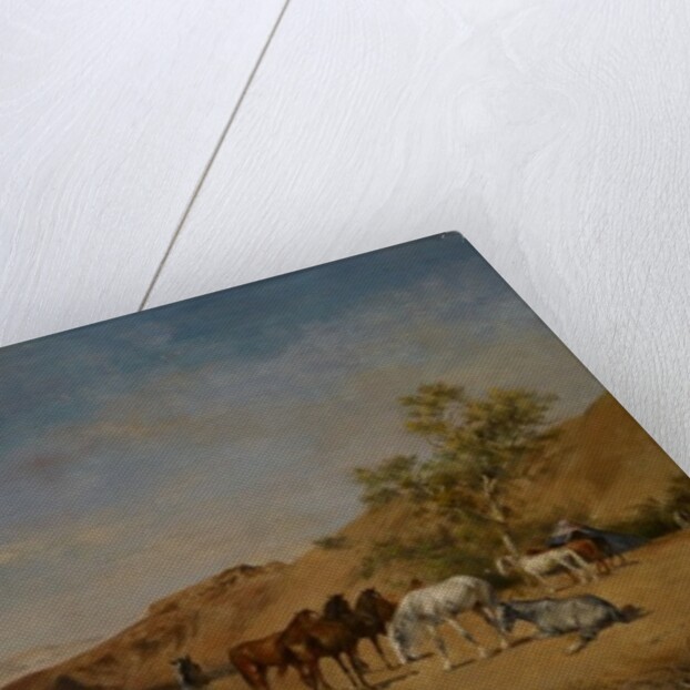 An Arabian Camp, 1873 by Eugene Fromentin