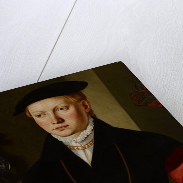 Portrait of a Girl, c.1545 by Georg Pencz