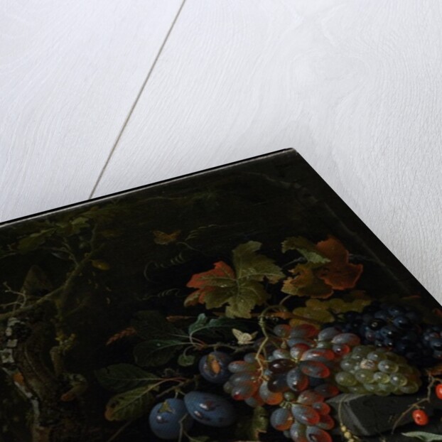 Still Life with Fruit, Foliage and Insects, c.1669 by Abraham Mignon