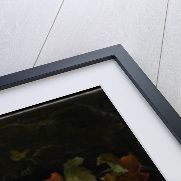 Still Life with Fruit, Foliage and Insects, c.1669 by Abraham Mignon