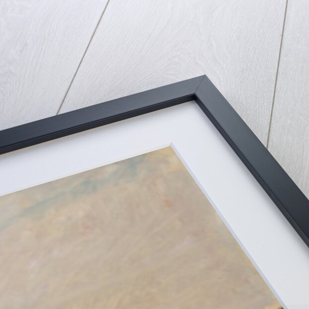 The Dunes at Camiers, 1871 by Charles Francois Daubigny