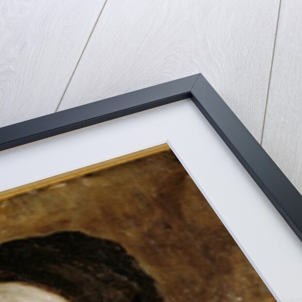 Head of an Old Woman, 1881 by Robert Koehler