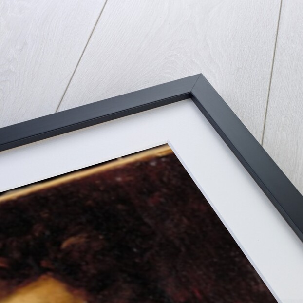 The Patrician, 1875 by William Merritt Chase