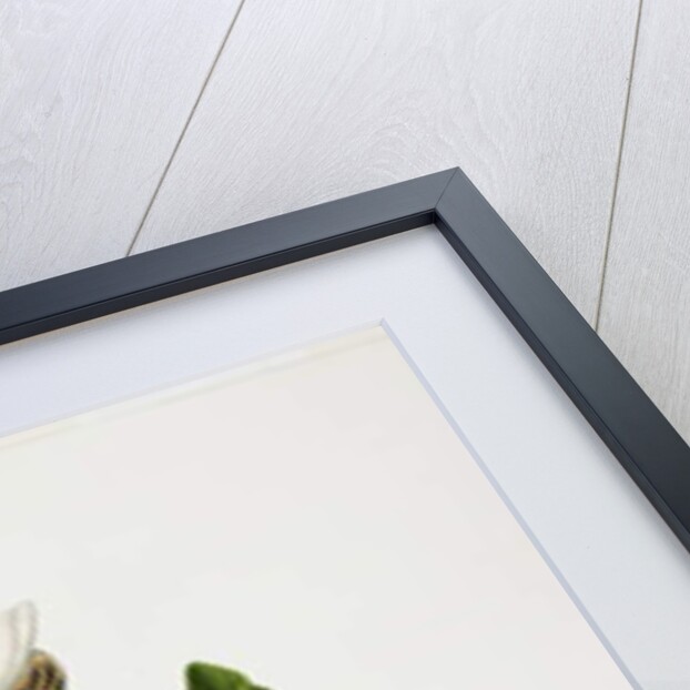 The Citron and Insects by Priscilla Susan Bury