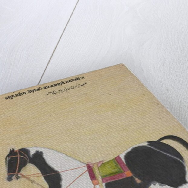 The Stallion Jukaldan Ayragi, c.1730 by Bhavani Das