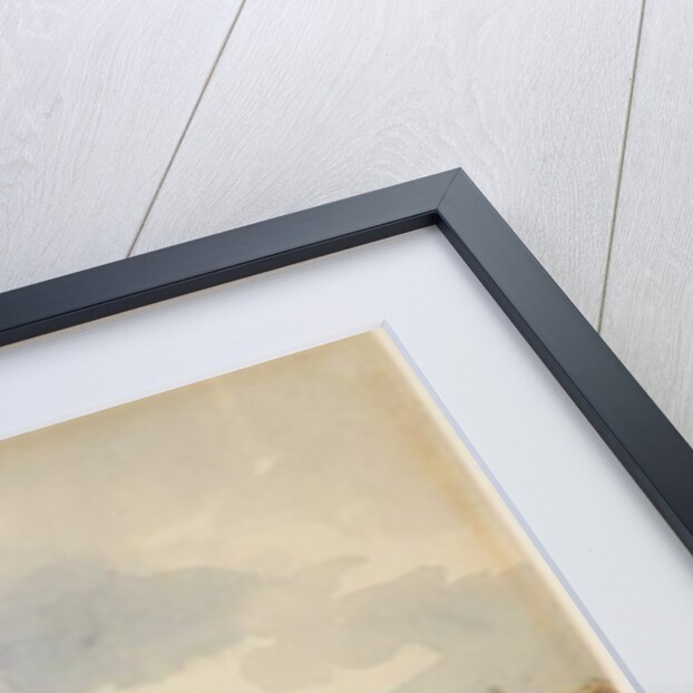 View of Saint Peter's Square and Basilica in Rome, c. 1846 by Ippolito Caffi