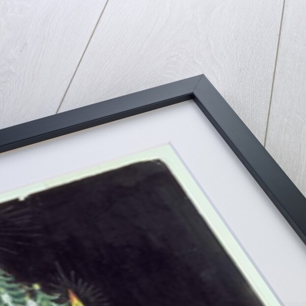 The Christmas Tree by American School