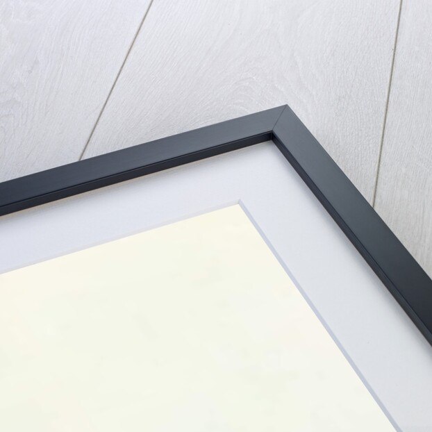 The Boots Cleaner, c.1840 by Nicolino Calyo