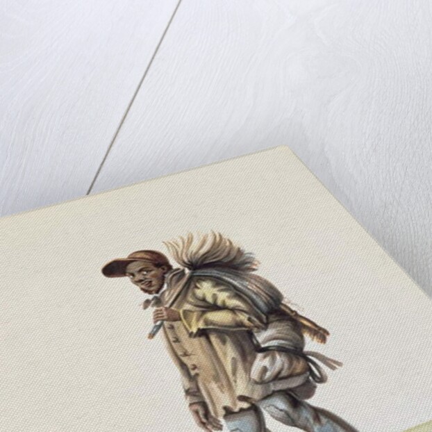 George Cousin, the Patent Chimney Sweep Cleaner by Nicolino Calyo