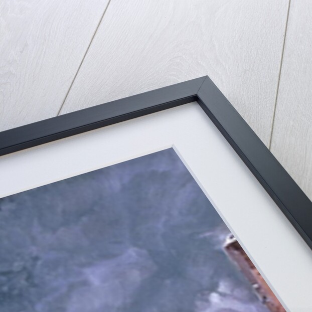 Madison Square Garden, New York, 1895 by William Louis Jnr. Sonntag