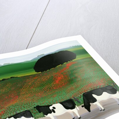Cows and Poppies by Maggie Rowe