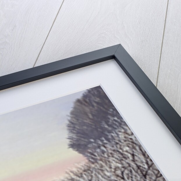 Friesians in Winter by Maggie Rowe