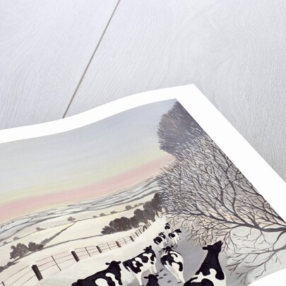 Friesians in Winter by Maggie Rowe