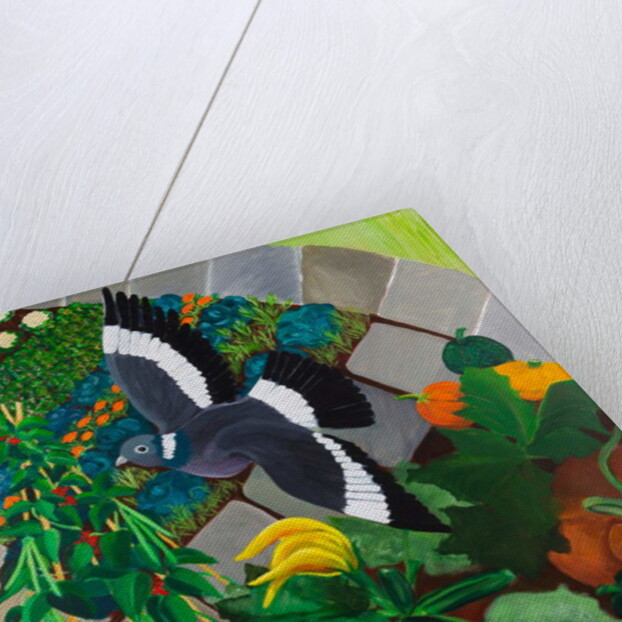 Veggie Garden, 2013 by Maggie Rowe