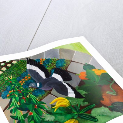 Veggie Garden, 2013 by Maggie Rowe