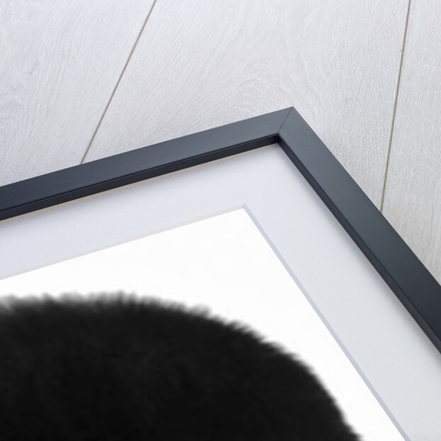 Valentina Cortese, Milan, Italy, 1975 by Maria Mulas