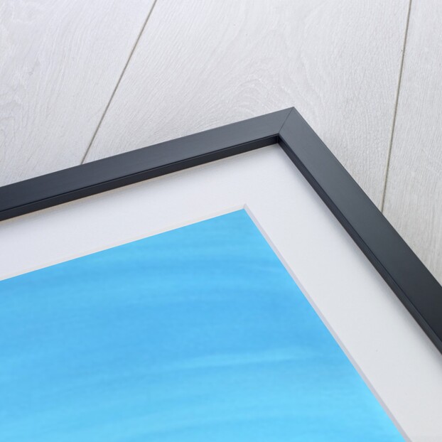 Black Dog in Chestertown, 1998 by Marjorie Weiss