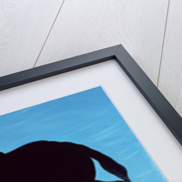 Chestertown Trials, 1999 by Marjorie Weiss