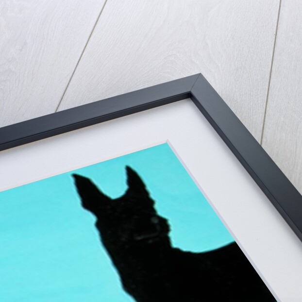 Mr. Logan's Serach for Shadow, 1999 by Marjorie Weiss