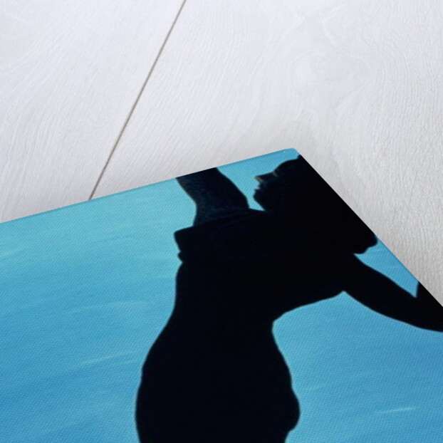 In the Public Eye, 1998 by Marjorie Weiss