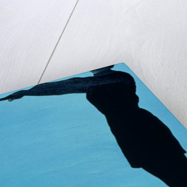 Taking Off for Chestertown, 1999 by Marjorie Weiss