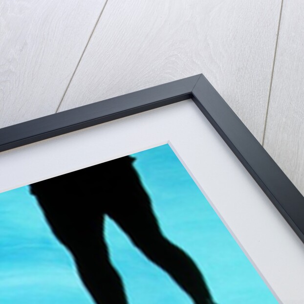 The Girl Guides, 1998 by Marjorie Weiss