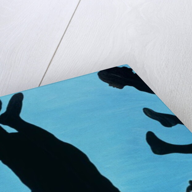 The Funny Side of Joe, 1998 by Marjorie Weiss