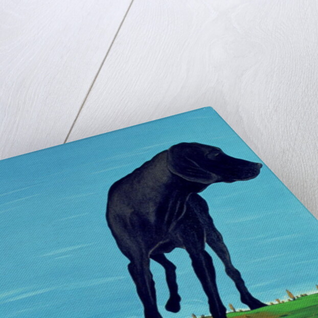 Joe's Black Dog, 2000 by Marjorie Weiss