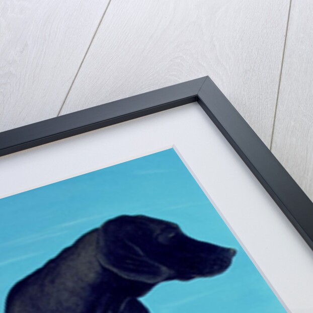 Joe's Black Dog, 2000 by Marjorie Weiss