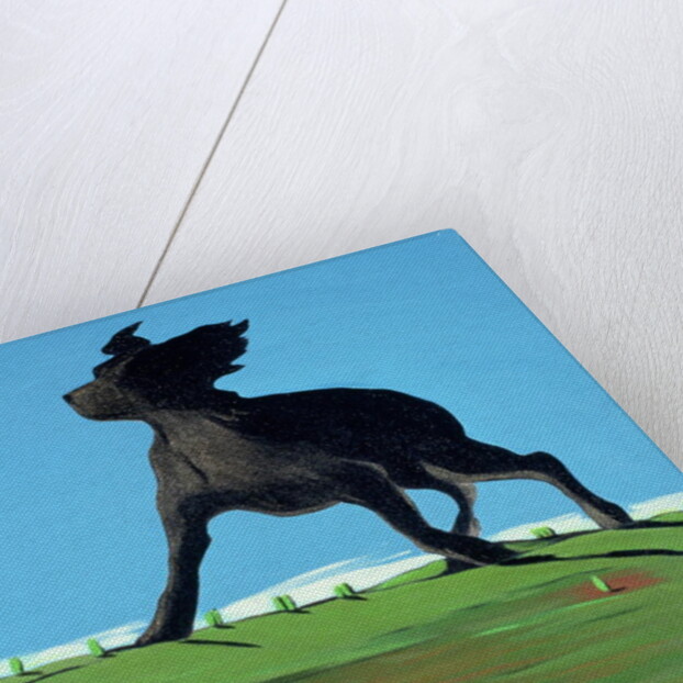 Amazing Black Dog, 2000 by Marjorie Weiss